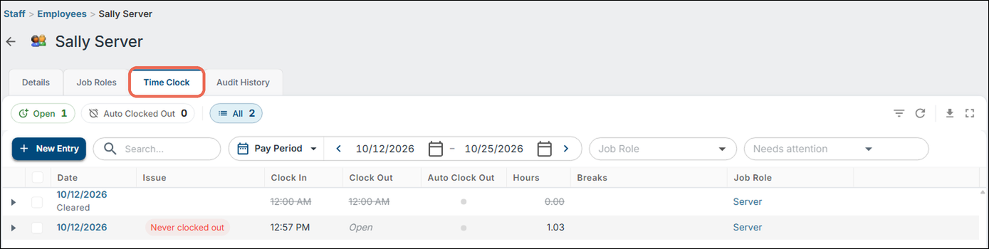 An employee's Time Clock tab boxed